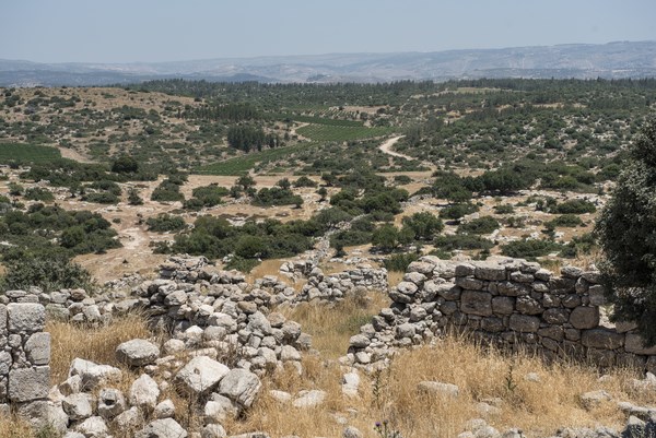 photo of a hillside in Israel